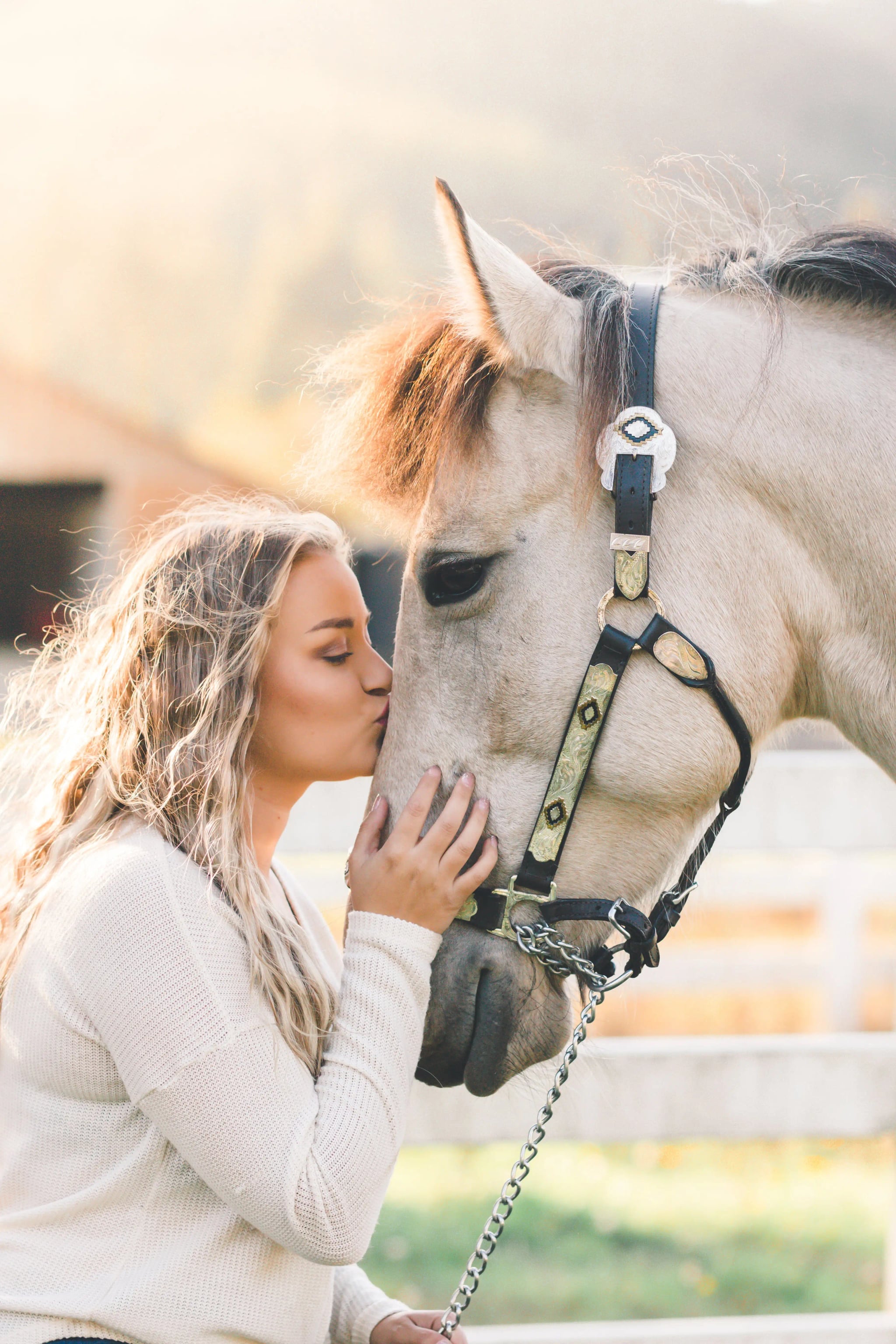 Photography showcase 1