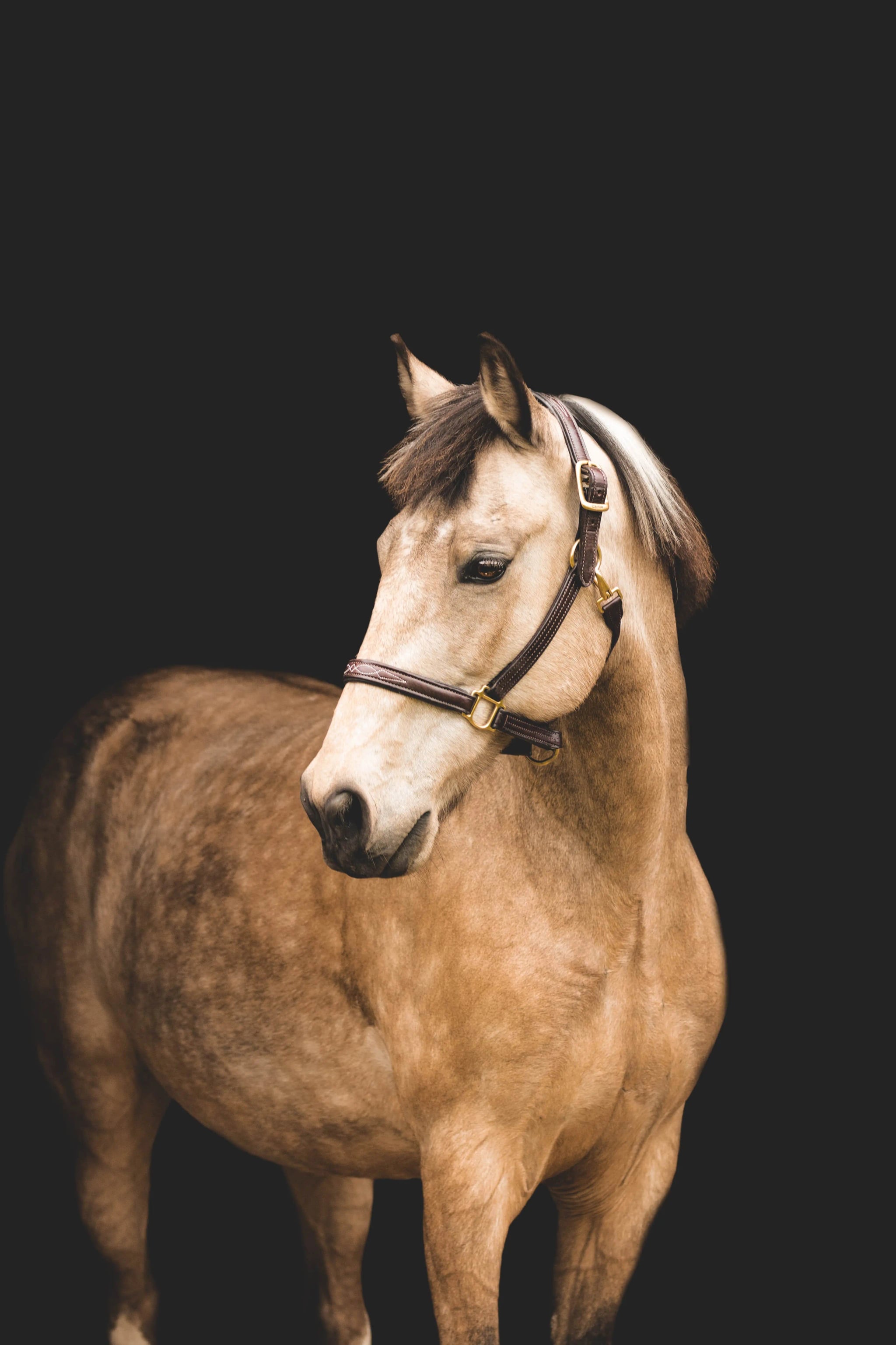 Photography showcase 3