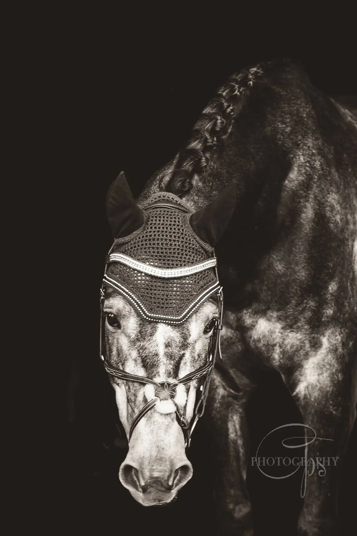 Photography showcase 9